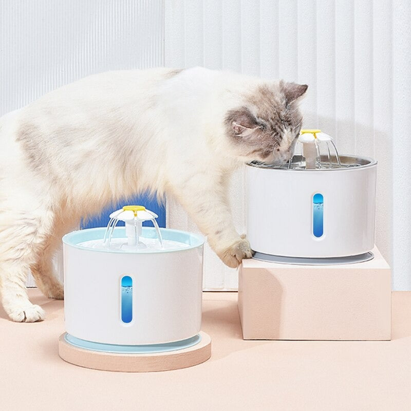 Automatischer LED Wasserbrunnen für Katzen